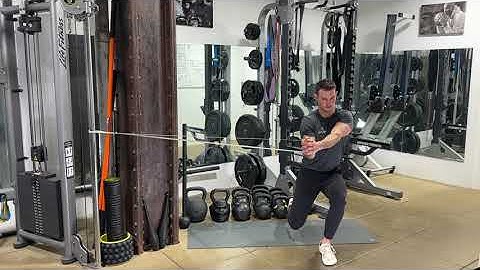Split Squat Isometric Anti Rotation