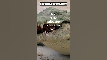 The UGLY TRUTH about the Saltwater Crocodile!!!👀#shorts #shortsvideo #motivation #psychology