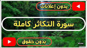 سورة التكاثر كاملة | القرآن الكريم تلاوة سورة التكاثر بصوت جميل جدا جدا