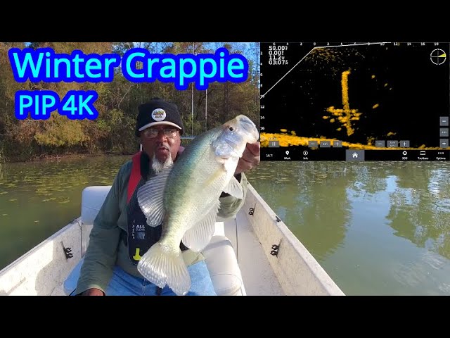 Spring Crappie fishing with liveScope 