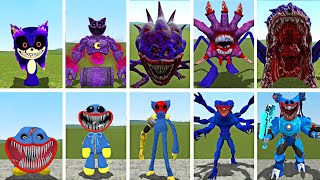 CURSED CATNAP vs HERO HUGGY WUGGY | NEW EVOLUTION (Garry's Mod Battle)