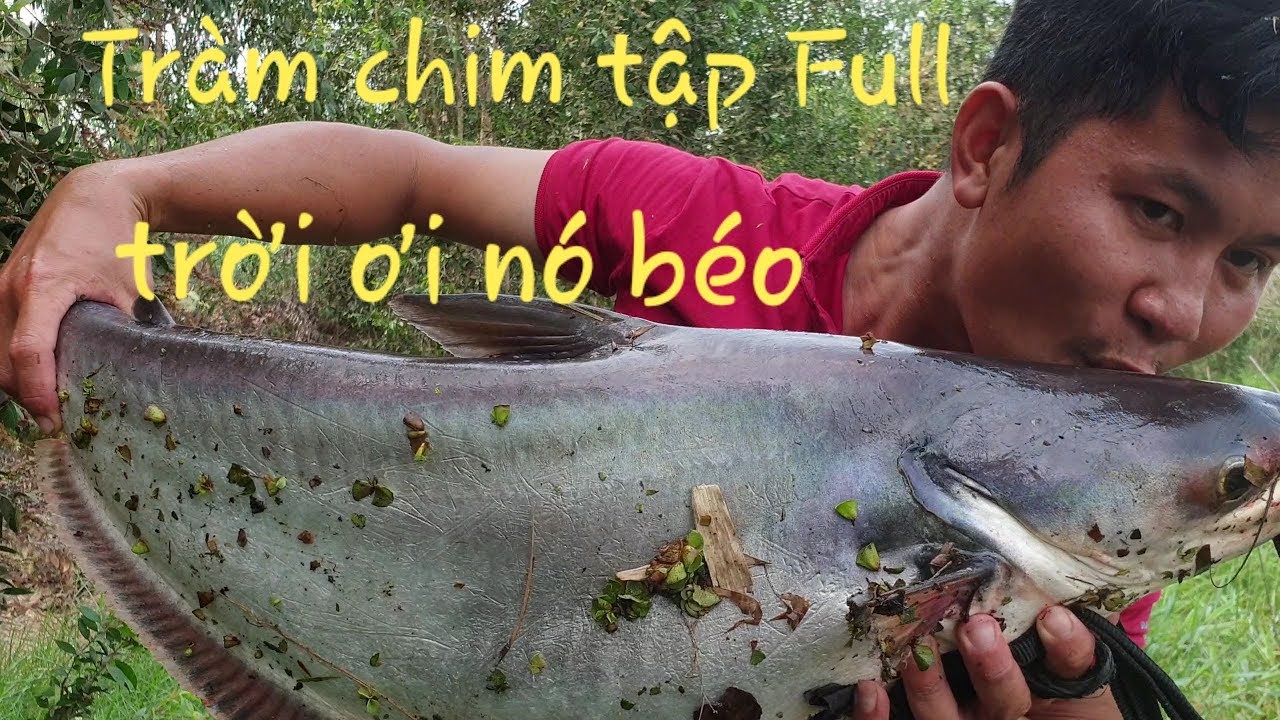 Kỷ lục câu cá mới (tập Full): Kéo 2 con cá khổng lồ trong Rừng Tràm Chim | Săn bắt SÓC TRĂNG |