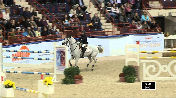 89 INDIGO   Margie Engle   Jumpoff   Grand Prix de...