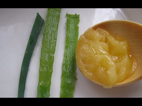 АЛОЭ + МЁД. Лечит геморрой, насморк и улучшает иммунитет! //ЛАЙФХАК