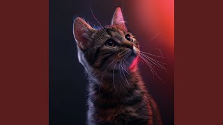 Feline Peace in Soft Harmonies