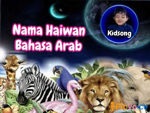 Lagu kanak kanak Nama Haiwan Bahasa Arab  YouTube