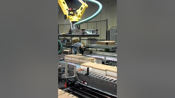 Exact Automation - Case Palletizing