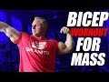4 Exercise Bicep Workout for Mass 4 Exercise Bicep Workout for Mass
