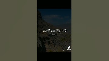 حالات واتس قران كريم القاري عبدالله الموسى ستوريات قران كريم