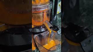 Agaro Slow Juicer.