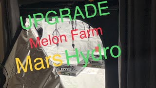 MELON FARM GRO TENT+Update on the White widows