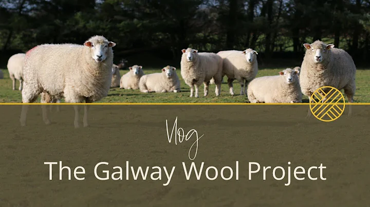 Unveiling the Secret of the Galway Wool Project! |...