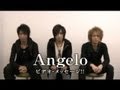 うたまっぷインタビュー Angelo「光の記憶」