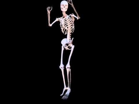 Modo Animation test