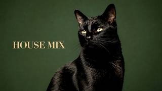 low cortisol house for a slower pace | minimal house mix