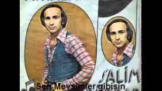 Sen Mevsimler gibisin - Salim Dündar ( Nostalji Rüzgarı )