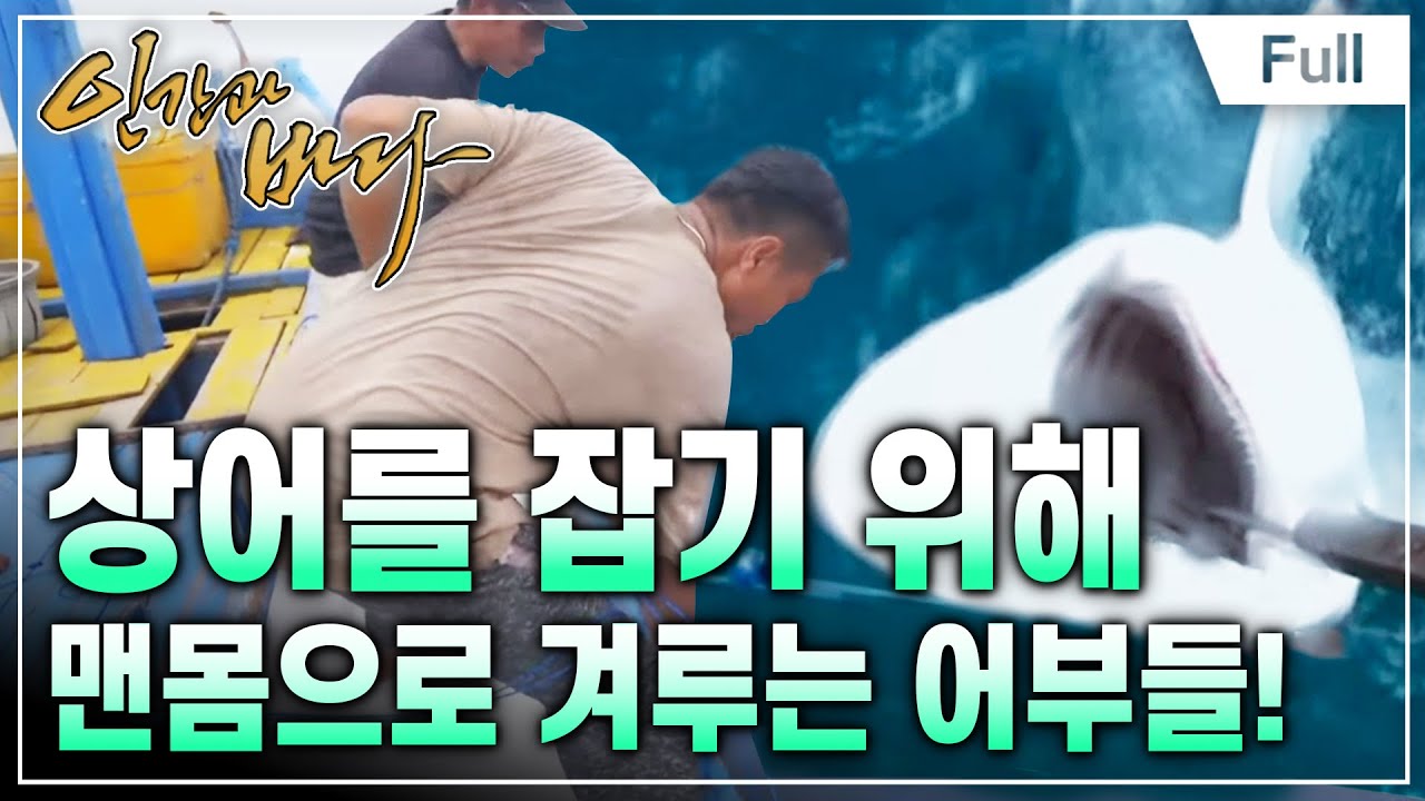 [Full] 인간과 바다 - 생존을 위한 사투, 인도네시아 상어 마을