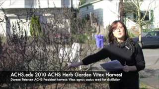 ACHS.edu Vitex Harvest Part 1