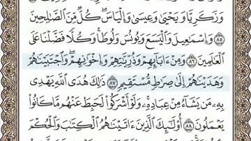 سورة الانعام الصفحة 138 الشيخ محمد صديق المنشاوي
