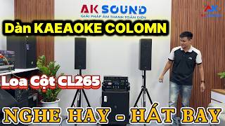 [ Nhỏ Mà Chất ] Dàn karaoke ARF Column CL265 vs SUB SW115 | Chất Đủ Mạnh Sắc Nét | AKSOUND