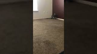 IMG 2558