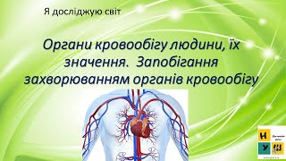 Урок 70. Органи кровообігу їх значення. Запобігання захворюванням органів кровообігу.