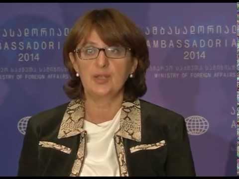 მინისტრმა ამბასადორიალის მეორე დღე შეაჯამა