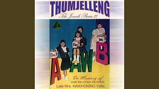 Genseng ngei kei ning