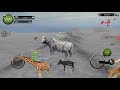 Wild animals online •LIVE: shara + group battle and 4 more