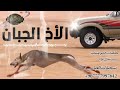 محمد العباسي اقوئ قصيده 2023 بعنوان الأخ الجبان كلمات شاعر المنتاب سيف جلال عزام محمد العباسي اقوئ قصيده 2023 بعنوان الأخ الجبان كلمات شاعر المنتاب سيف جلال عزام