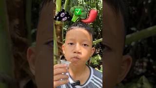 MAKAN SESUAI WARNA BUAHAN INI #shorts