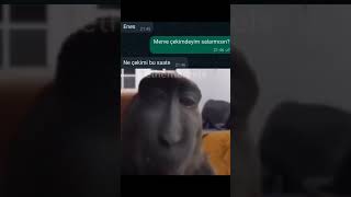 Merve Çekimdeyim Salarmısın 31