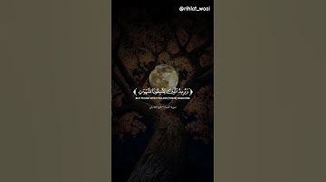 ✨ تلاوة خاشعة تهز القلوب | آية كريمة بصوت يفيض خشوعًا ✨