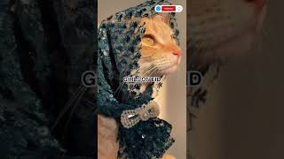 #eidalfitr ,#eidmubarak, #eid, #ramadan, #idulfitri, #eidcollection ,#eidulfitr ,#eidaladha