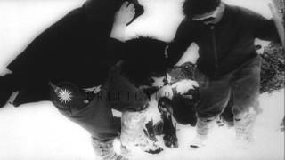 Herds Of Cattle And Ships Cross Snow Covered Alps Mountains From Their Native Ita...hd Stock Footage