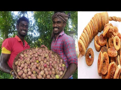 how to make dry fig fruit - athipalam - dry fig fruit in tamil / fig fruit - village style cooking