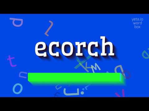 ቪዲዮ: የአርክቲክ በረሃ ባህሪ የምግብ ሰንሰለት እቅድ፡ አማራጮች፣ መሰረታዊ አካላት