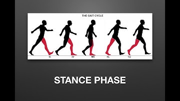 GAIT BASICS