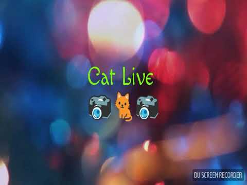 Распаковка набора "Коляска для двойняшек" от двоюродной сестры Марины