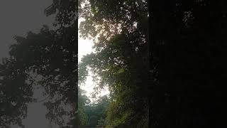 kekuasaan dinasty #ceramahkhzainudinmz