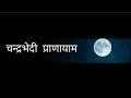 अगर दिल ❤️और दिमाग 🙆 को बचाना चाहते हैं तो इस प्राणायाम 🌜🧘🏻‍♀️को जरूर करें। @payalverma1677
