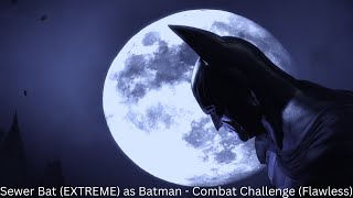 Batman Arkham Asylum Sewer Bat (EXTREME) as Batman - Combat Challenge (Flawless)