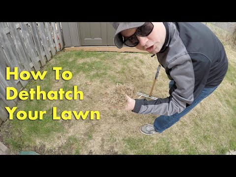 Como dethatch seu gramado com uma Thatching RAKE - Primavera do cuidado do gramado