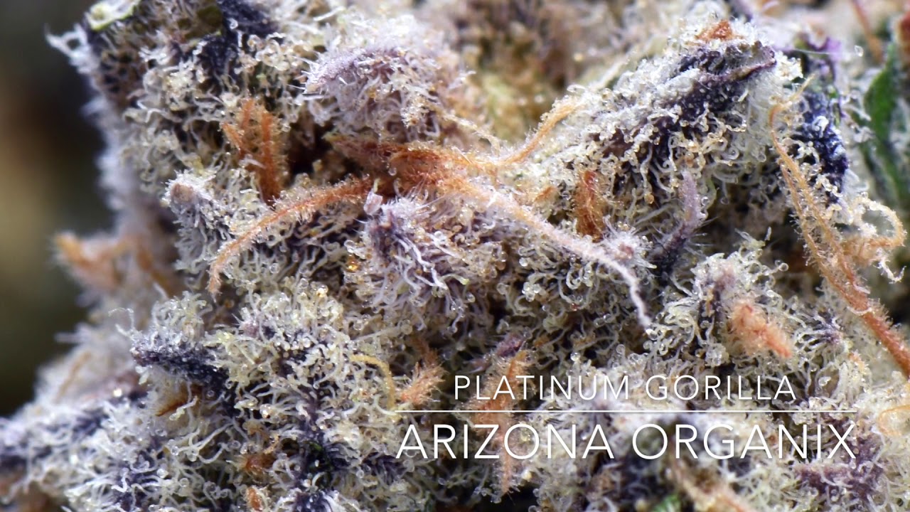 Arizona Organix
