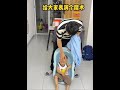 Performing a magic trick # Gold Medal Educator # Funny Video