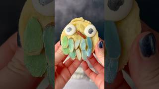 Gay Owl Apple Pie