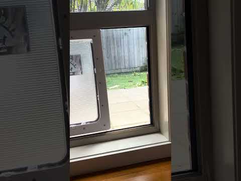 Big Pet Door for a Small Glass Panel