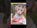 These People Mistook A Monkey For A Human