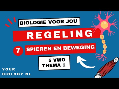 Video: Wat Is De Anonieme Beweging?