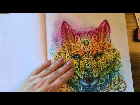 magic-beauty-coloring---background-rainbow-wolf-pt-3